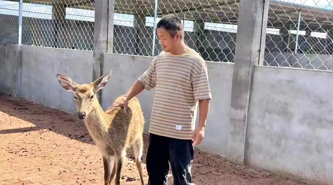 微乐斗地主福利码最新